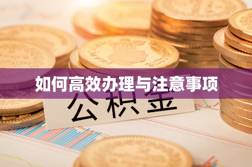 蕉岭如何高效办理与注意事项