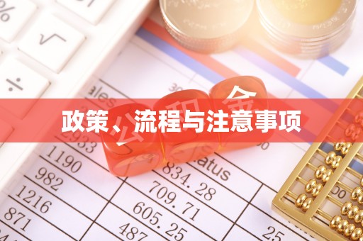 蕉岭政策、流程与注意事项