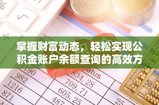 蕉岭掌握财富动态，轻松实现公积金账户余额查询的高效方法