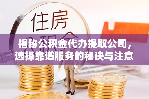 蕉岭揭秘公积金代办提取公司，选择靠谱服务的秘诀与注意事项