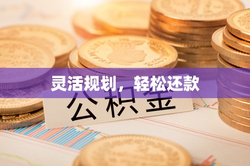 蕉岭灵活规划，轻松还款