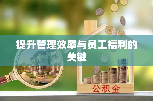 蕉岭提升管理效率与员工福利的关键