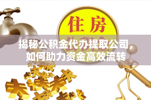 蕉岭揭秘公积金代办提取公司，如何助力资金高效流转