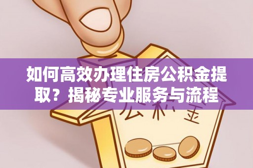 蕉岭如何高效办理住房公积金提取？揭秘专业服务与流程