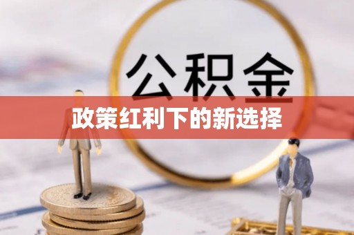 蕉岭政策红利下的新选择