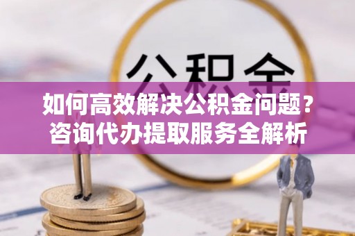 蕉岭如何高效解决公积金问题？咨询代办提取服务全解析