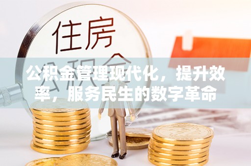 蕉岭公积金管理现代化，提升效率，服务民生的数字革命