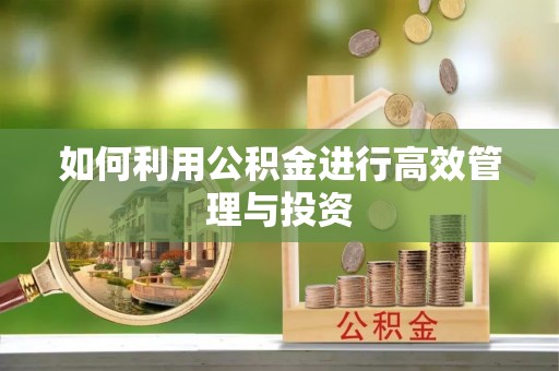 蕉岭如何利用公积金进行高效管理与投资