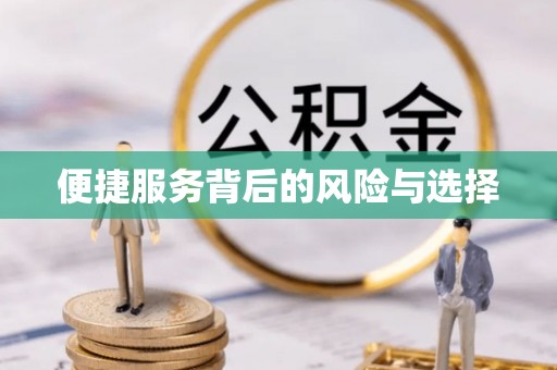 蕉岭便捷服务背后的风险与选择