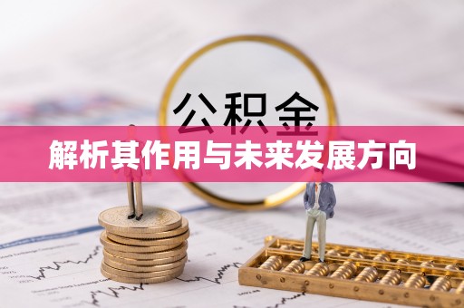蕉岭解析其作用与未来发展方向